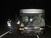 Na Hodonínsku srazil autobus jelena, zvíře na místě zemřelo, poškozené vozidlo museli odtáhnout.