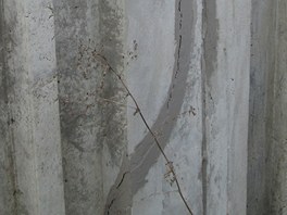 Protipovodov stny v praskch Holeovicch jsou drav.