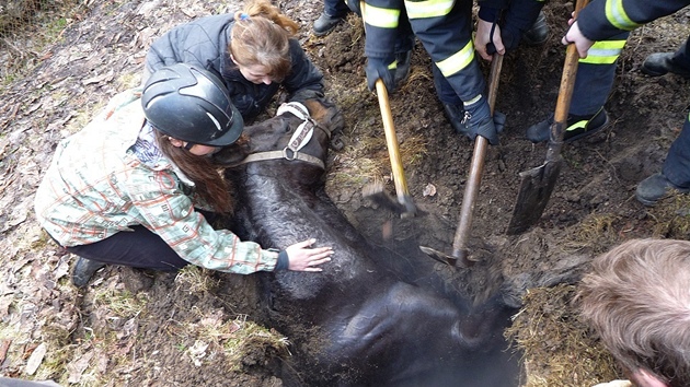 Liberetí hasii zachraují uvznného kon, který spadl do jímky.
