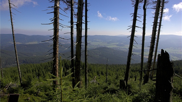 Jesenická Národní p�írodní rezervace �erák - Keprník.