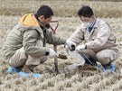 Japontí odborníci zkoumají kontaminaci pdy v okolí elektrárny