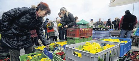 Na trzích najdete nejen zeleninu, ale i kvtiny.