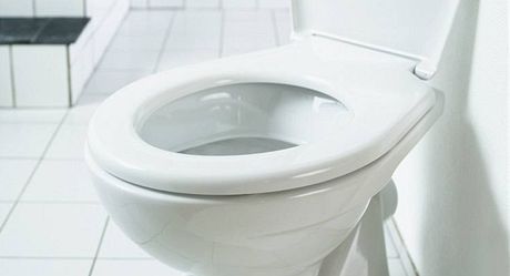 Na záchodě nemusíte být každý den aneb největší mýty o vyměšování - iDNES.cz