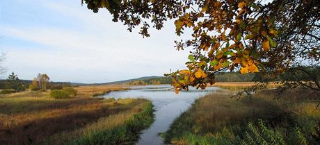 Brdy, spodní Padrský rybník, ráj ryb i vodního ptactva