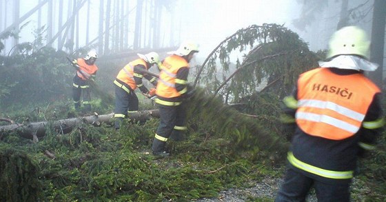 Hasii museli kvli vtru vyjídt k desítkám padlých strom. Ilustraní foto