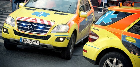 Pro poteby koronera vylení Zdravotnická záchranná sluba Karlovarského kraje jedno vozidlo. (ilustraní foto)