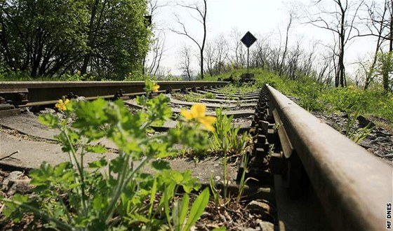 Na nmecké stran zbývá postavit necelý kilometr kolejí. (ilustraní snímek)