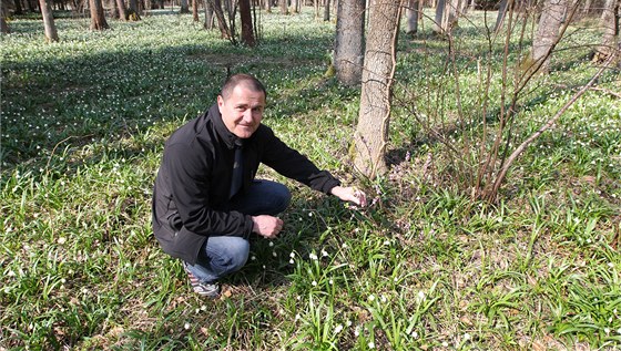 Lubomír Daj, hlída bledulí v CHKO árské vrchy.