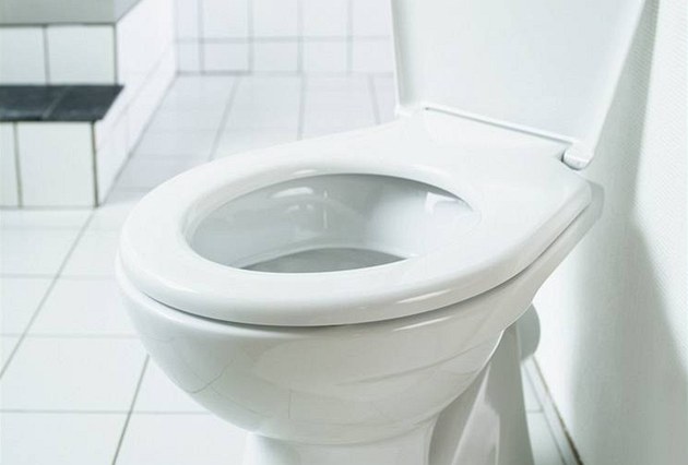 Na záchodě nemusíte být každý den aneb největší mýty o vyměšování - iDNES.cz