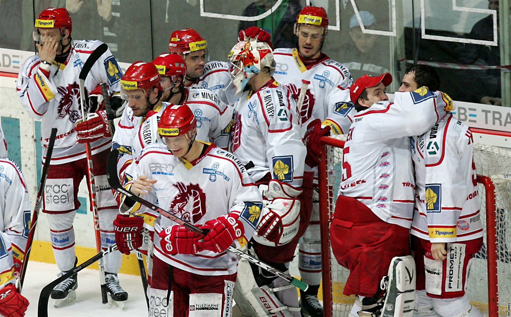 T�ine�tí hokejisté jsou p�ed startem finále play-off favority.