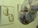 Pohled do výstavy Filomeny Borecké v eském centru v Paíi, jaro 2011. V popedí socha Mysterium Conjunctionis (2009, v majetku soukromé sbírky v Grenoblu), v pozadí kresba Hluné ticho (2009) 