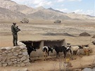 etí vojáci v afghánském Vardaku - zajitní afghánské vesnice