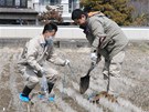 Japonci kontrolují zamoenost pdy v prefektue Fukuima (31. bezna 2011)