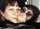 Jiina Kyzlíková se o lidoopy z liberecké zoo starala i doma.