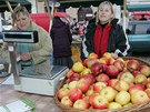 Jeden ze stánk na prvních olomouckých Hanáckých farmáských trzích.