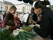 Jeden ze stnk na prvnch olomouckch Hanckch farmskch trzch.