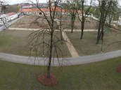 Bývalou konventní zahradu v areálu Vojenské nemocnice Olomouc v Klášterním Hradisku, která v klášteře sloužila ke shromážďování řeholníků, prochází obnovou od poloviny roku 2009.