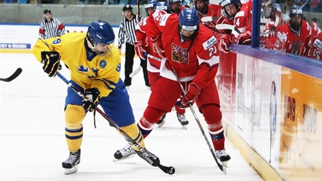 Český hokejista Tomáš Hertl se pokouší zastavit unikajícího Mikaela Vikstranda ze Švédska. 