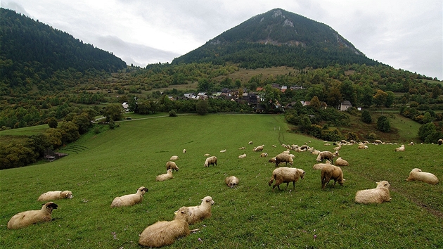 Kulisu kraje kolem Vlkolínce tvo�í pastviny a vrch Sidorovo