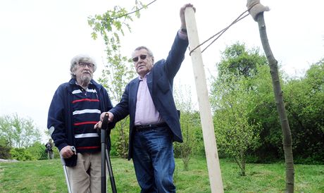 Reisér Milo Forman (vpravo) a jeho dvorní kameraman Miroslav Ondíek (vlevo) vysadili v rámci projektu Koeny osobností vzácné severoamerické duby. 