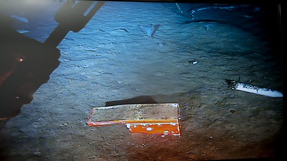 Pátrací týmy objevily schránku erných skínk. (27. dubna 2011)