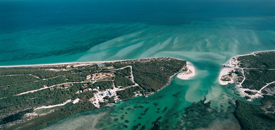 Parrot Cay