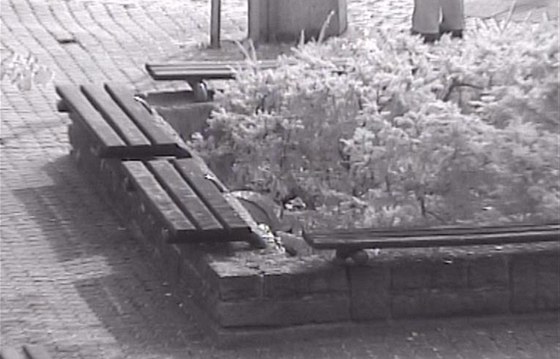 Na zábru z kamerového systému ve Zlín je vidt, kde se mrtvý mu nacházel. Svdek ho nael v koví u kany.