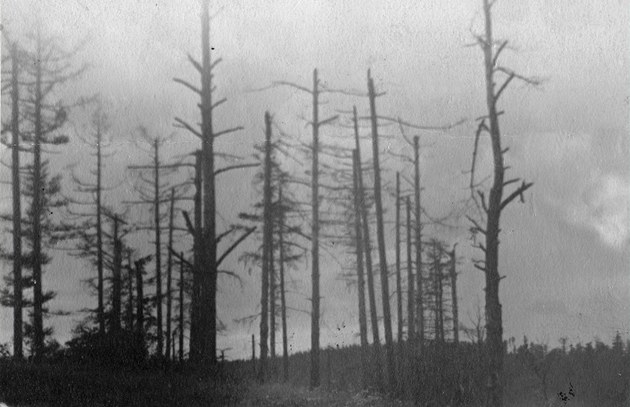 Rudoarmějci v některých oblastech Sudet zatýkali, vyšetřovali i soudili, líčí historik