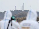 Lékem pro zamoenou pdu v okolí Fukuimy by mohly být slunenice