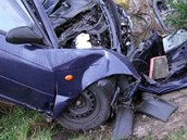 Tragická nehoda opelu u Budína na Rychnovsku (26. dubna 2011)