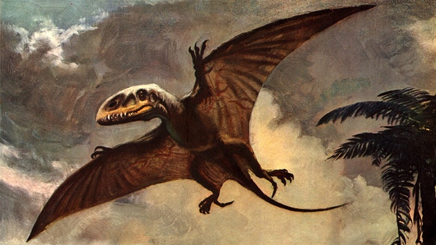 Zdenk Burian: Dimorphodon