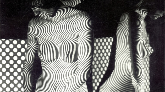 Jedna z fotografií Jaroslava Vávry s názvem Studie IV (rafra) z roku 1964.