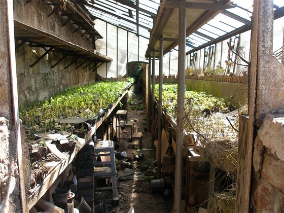 Vyhořelý skleník v Dolní Olešnici