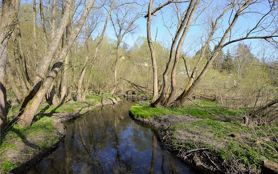 Meandrující potok Kaák u Markova mlýna