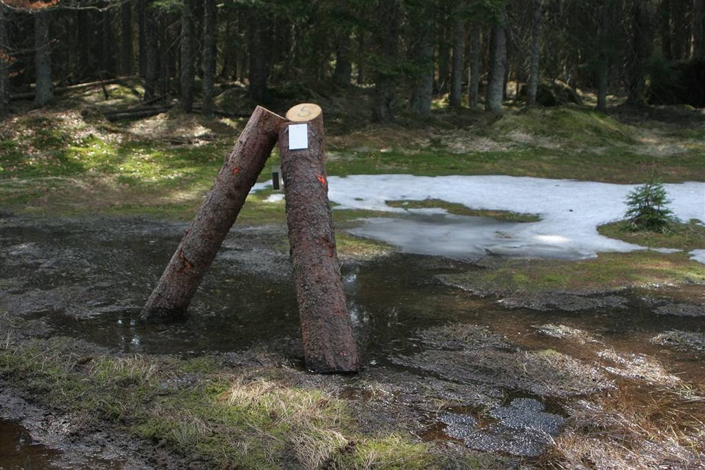 �editel NP �umava nechal podle hnutí DUHA rozmístit stovky otrávených tzv. lapák� a trojno�ek 