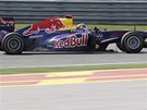 SUVERÉN. Sebastian Vettel z Red Bullu zatím v úvodu sezony exceluje.