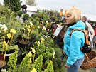 Veletrh Floria ve Vkách u Kromíe láká zahradkáe, chovatele, chalupáe i pstitele na nejrznjí hobby sortiment.