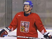 JÁGRŮV PARŤÁK. Útočník Tomáš Plekanec dorazil z Montrealu do Bratislavy, trenér pro něj v sestavě vyhradil místo v útoku Jaromíra Jágra.