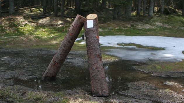 editel NP umava nechal podle hnutí DUHA rozmístit stovky otrávených tzv. lapák a trojnoek 