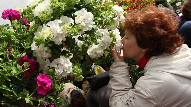 Veletrh Floria ve Vkách u Kromíe láká zahradkáe, chovatele, chalupáe i pstitele na nejrznjí hobby sortiment.