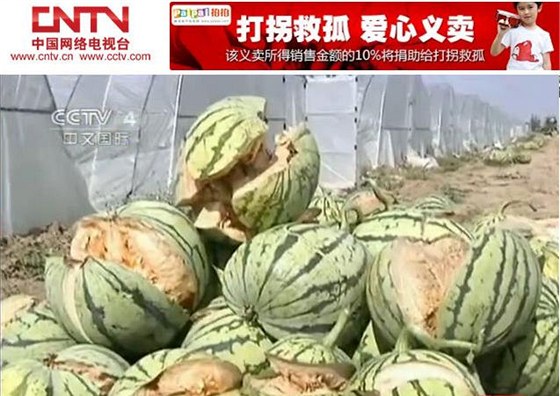 Zábr ínské televize CNTV na melounovou apokalypsu