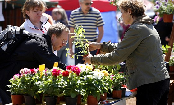 Farmáská trnice u Bauhausu koní. Konala se jen 7. kvtna. Po dvou dnech byly tyto farmáské trhy zrueny.