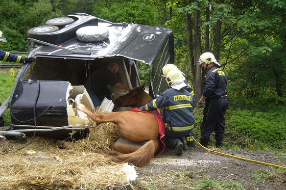 Záchrana kon z havarovaného pepravního boxu u Valaského Meziíí