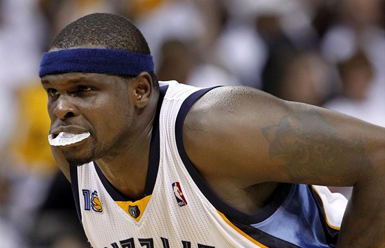 Zach Randolph z Memphisu Grizzlies.