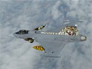 Letoun Jas-39 Gripen elitní tygí letky