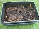 ásten zpracovaný kompost