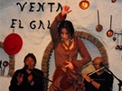 Flamenco ve Venta el Gallo