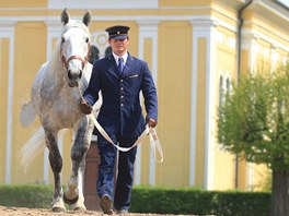 Hebec Favory Alta v hebn v Kladrubech nad Labem