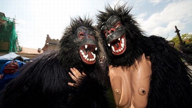 Maskovan krasavci z prvnho ronku Bhu pro gorily