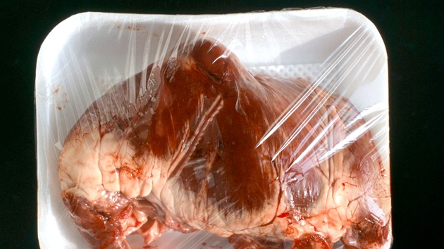 Ilustra�ní snímek